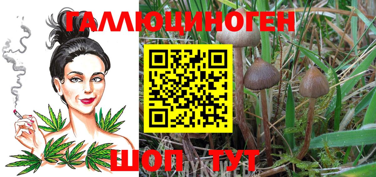 Галлюциногенные грибы Psilocybe  Вход с VPN  Рубцовск  Псилоцибиновые грибы мицелий 